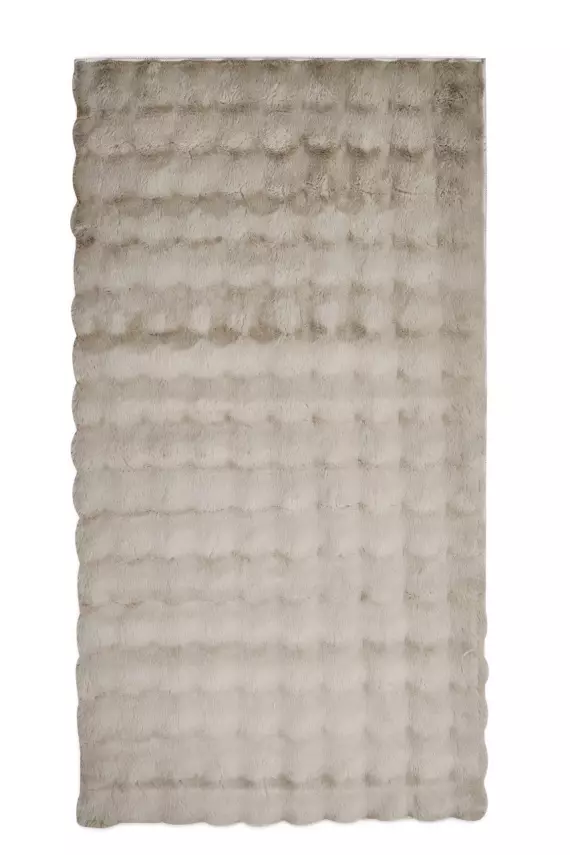 Jolly 2403 Vizon - 1