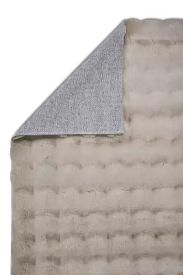 Jolly 2403 Vizon - (1)