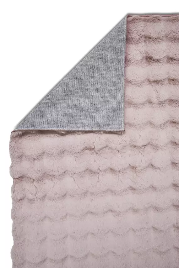 Jolly 2405 Pudra - 2