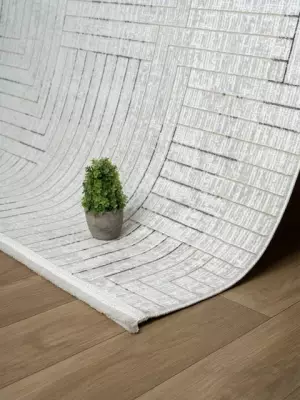 Naz 2002 Vizon - (1)