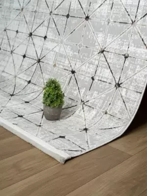 Naz 2005 Vizon - (1)