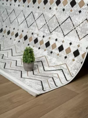 Naz 2008 Vizon - (1)